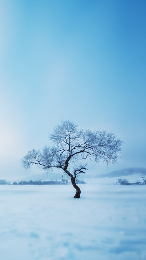 Cold knowledge about snow preview