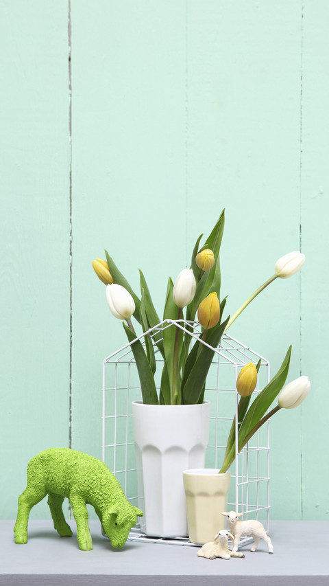 How to plant tulips better 83 preview