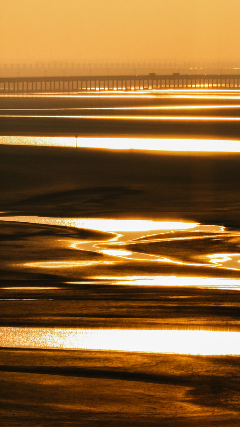 Capture the gilded tidal flats in the frame 2 preview