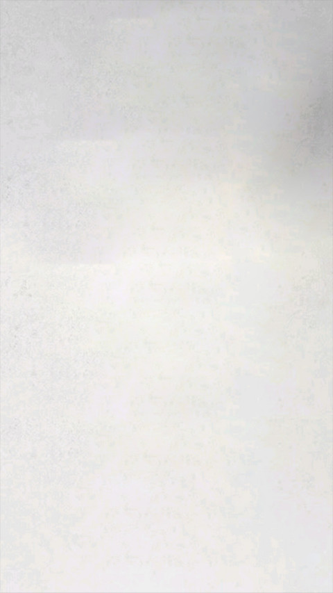 浮夸 preview