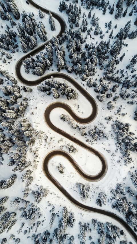 Winding Road in Forest preview