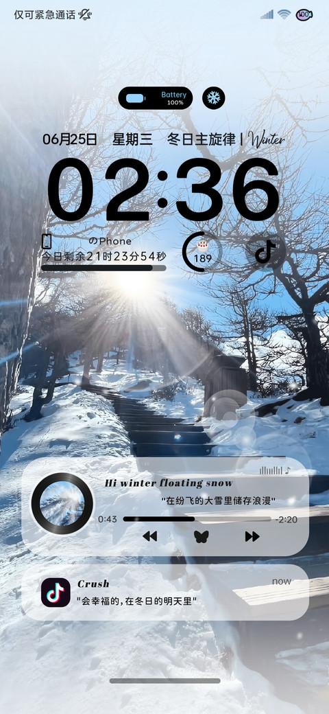 丁达尔氛围冬日雪景 preview