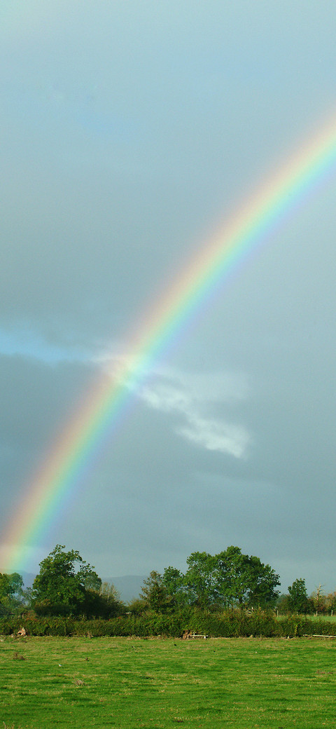 The Rainbow after the rain-PAIXIN preview
