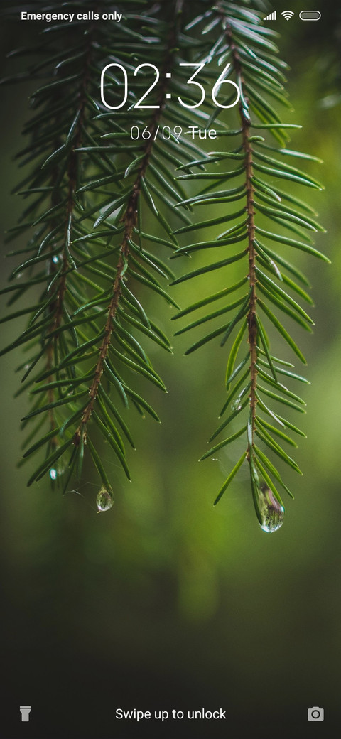 Leaves_3MDS preview