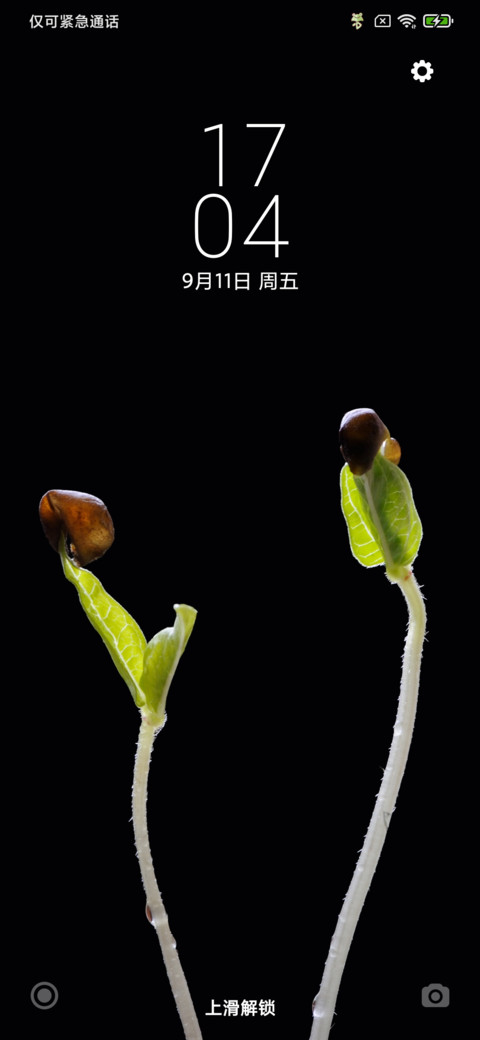 朝气 preview