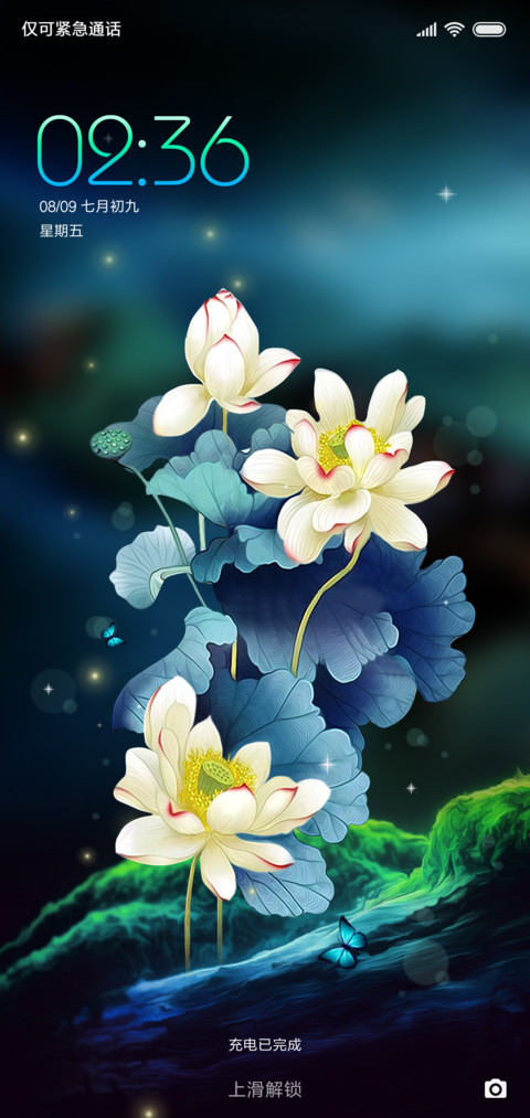 护眼主题静夜梦荷 preview
