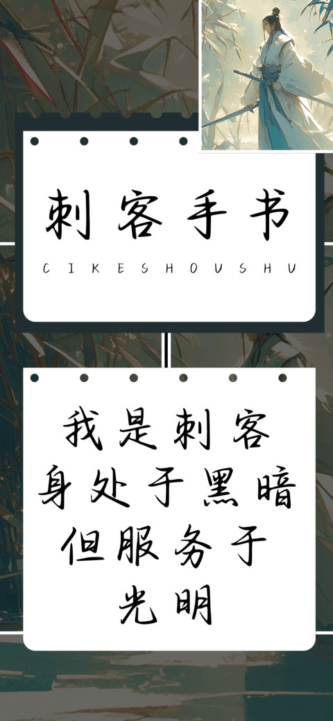 刺客手书 preview