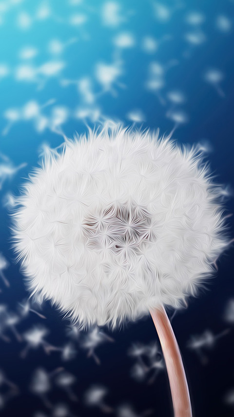 Dandelion (5) preview