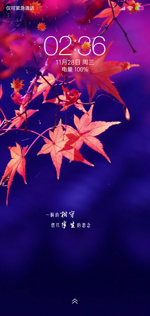 半世微凉 preview