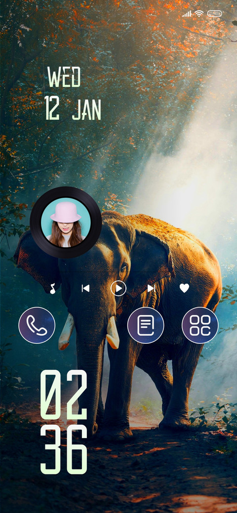 Phant preview