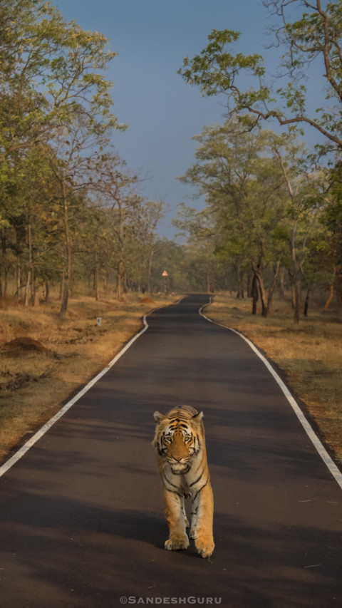 Sandesh (7) preview