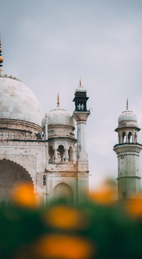 Vibe of India  (47) preview