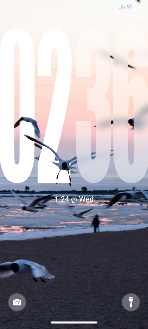 Seagull preview