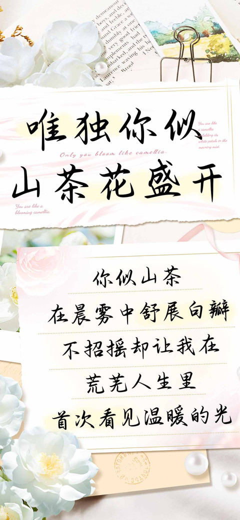 唯独你似山茶花盛开 preview