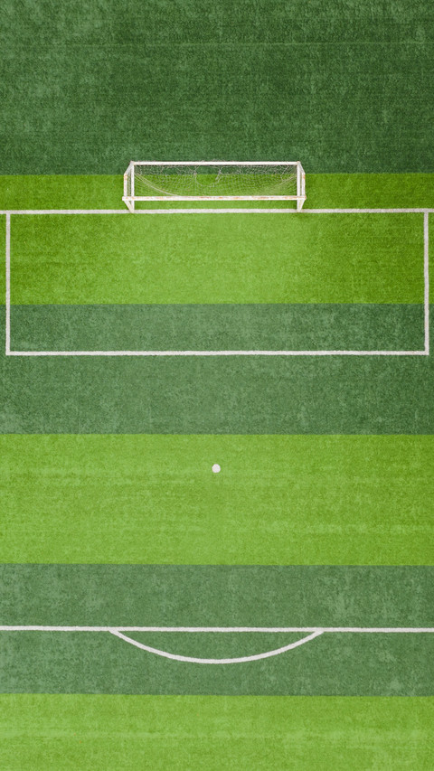 Aerial view of the football field penalty area preview