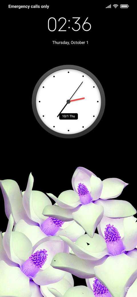 Flolola_DWM20 preview