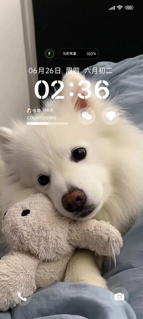可爱puppy呆呆酱 preview