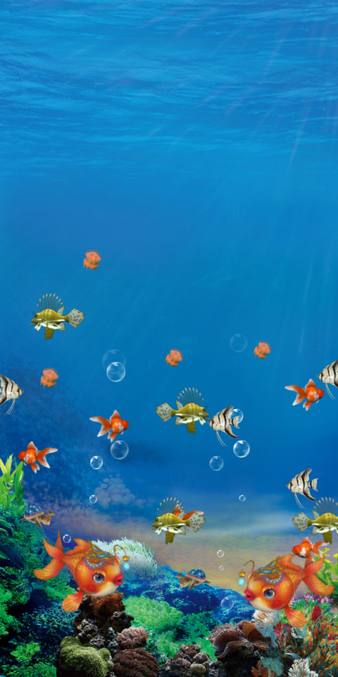Aquarium preview