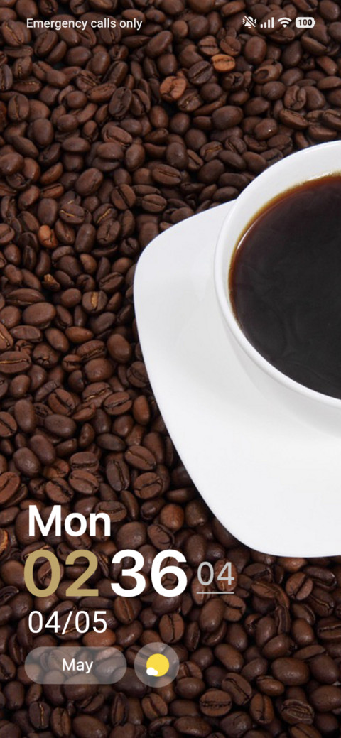Bean Bliss preview