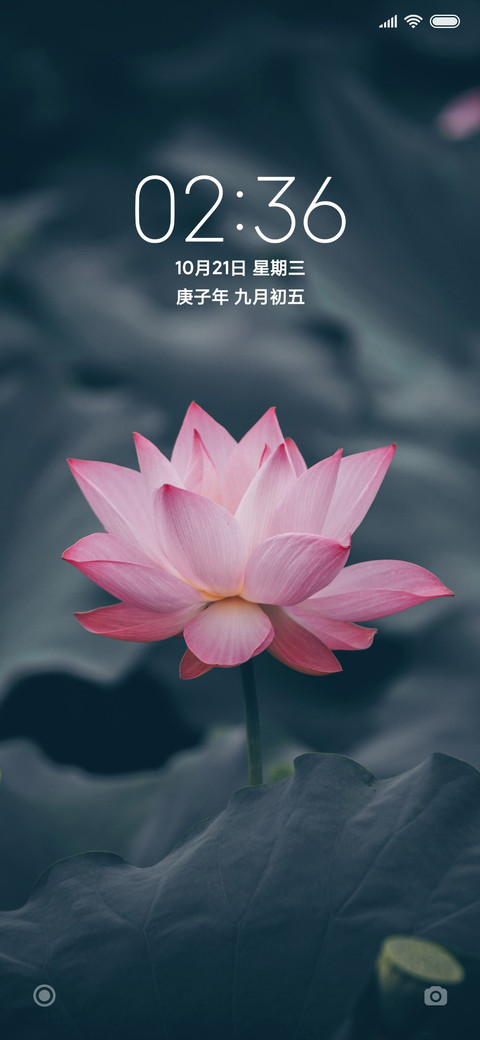 绿色水芙蓉 preview