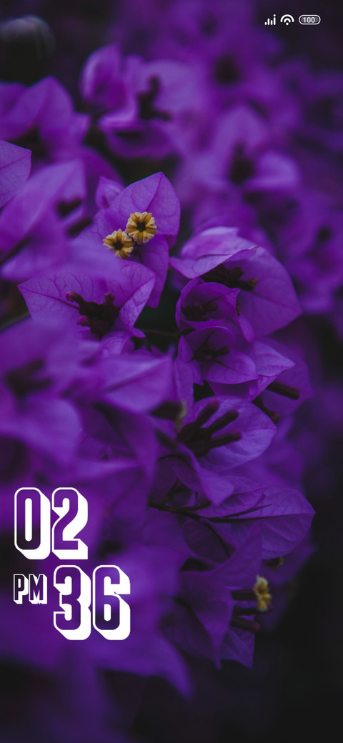 Plant preview