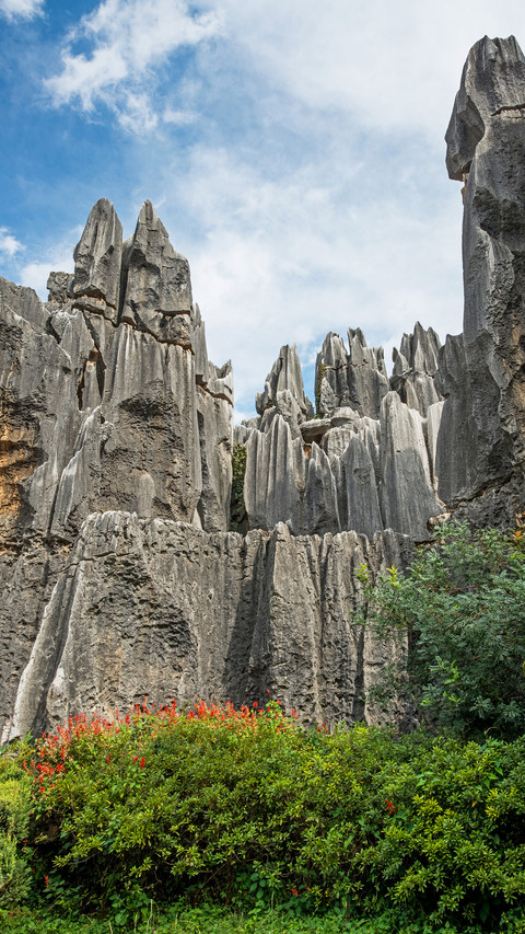Stone forest preview