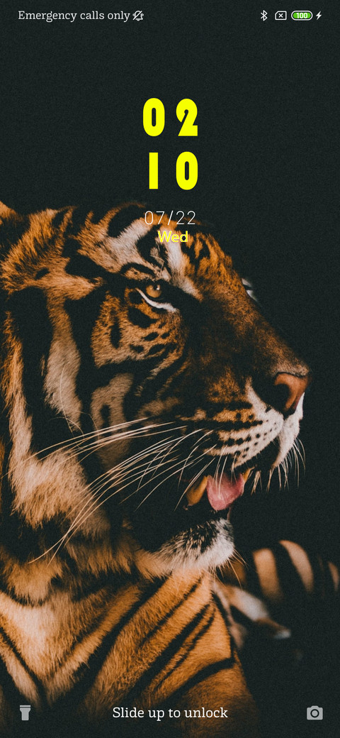 Tiger - Dark_3MDS preview