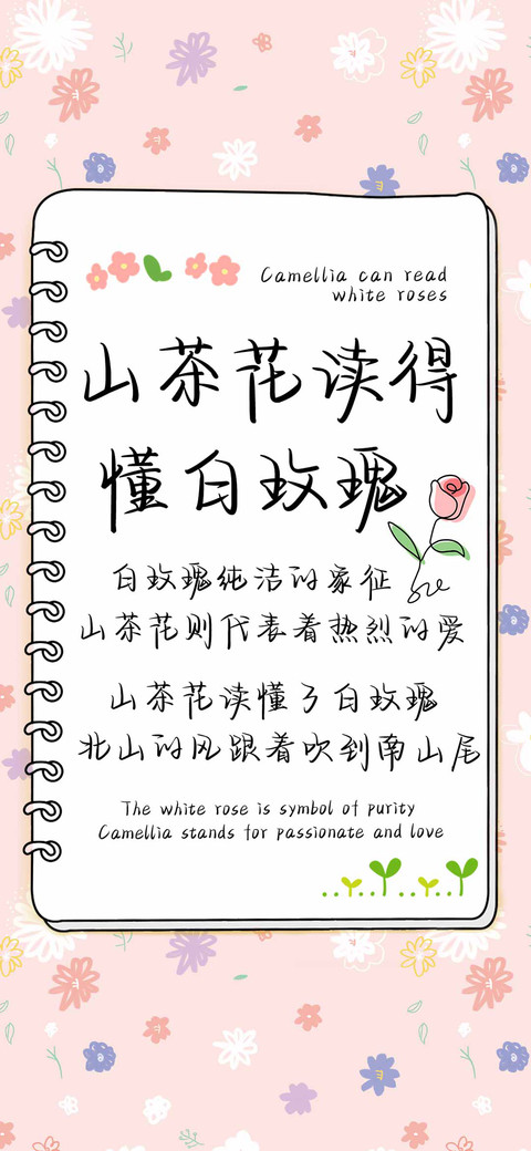 山茶花读得懂白玫瑰 preview