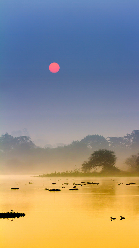 India-Misty Morning preview