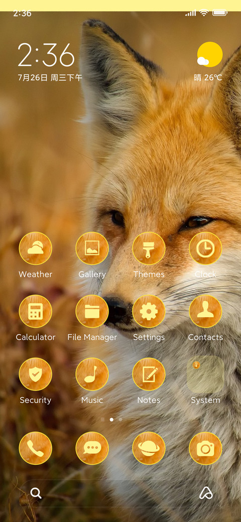 wildlife fox preview