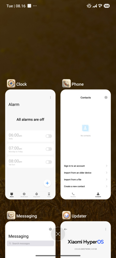 OX GOLD MIUI Customization