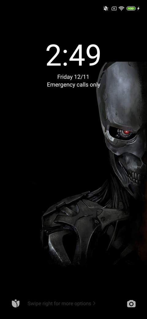 Skynet 12.5 preview
