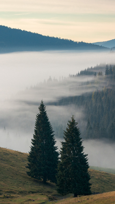 Landscape preview