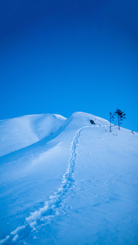 Overlooking the snow-capped mountains preview