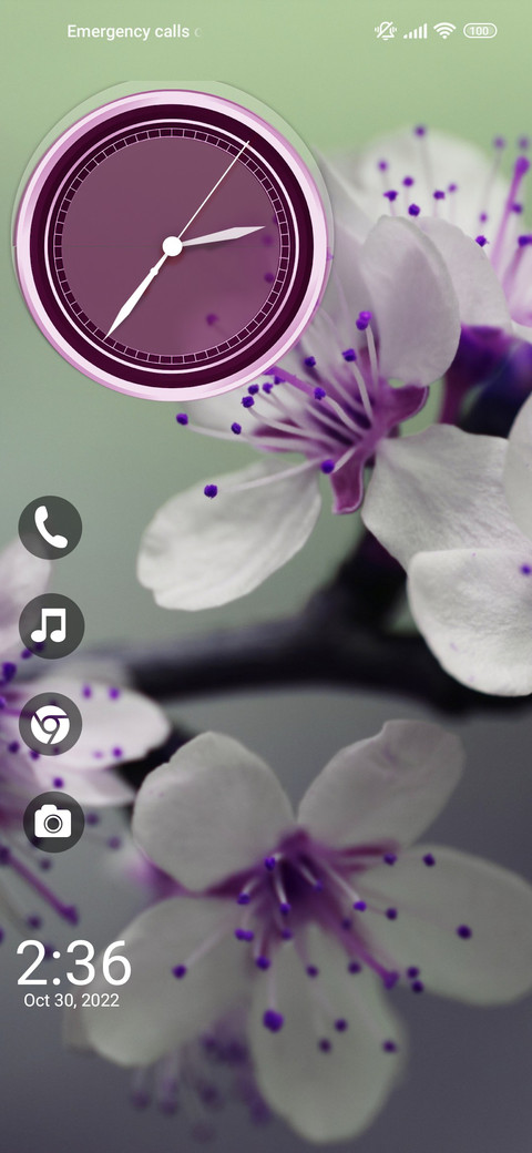 Flowers Bliss preview