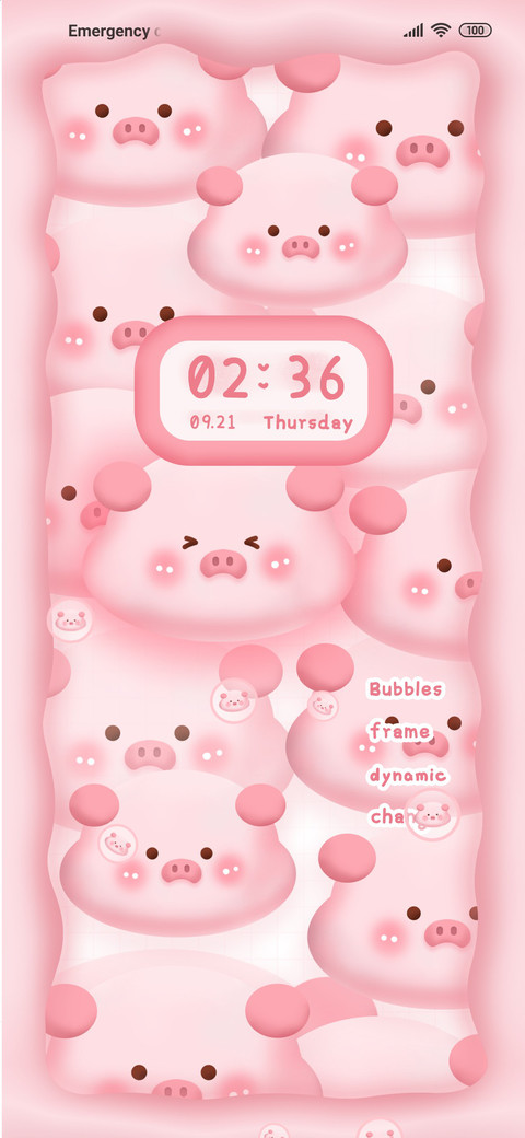 Dynamic pig preview