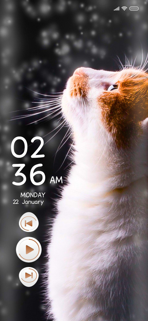 Cat il preview