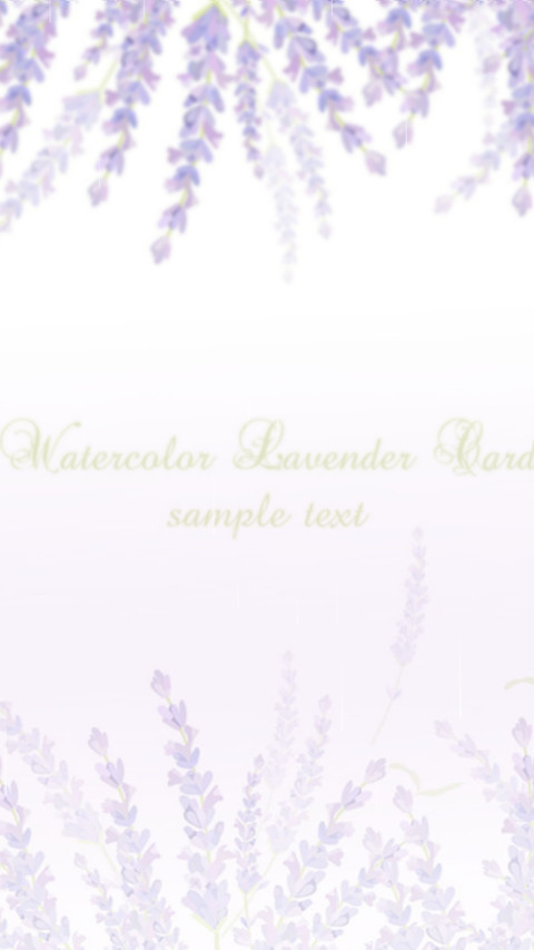 薰衣草 preview
