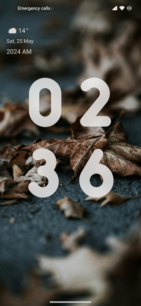 DryLeaves_V14 preview