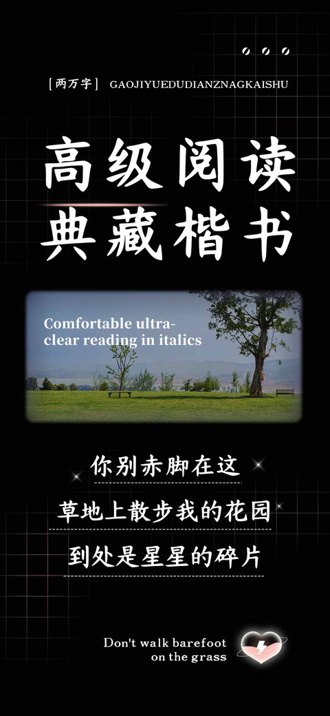 高级阅读典藏楷书 preview