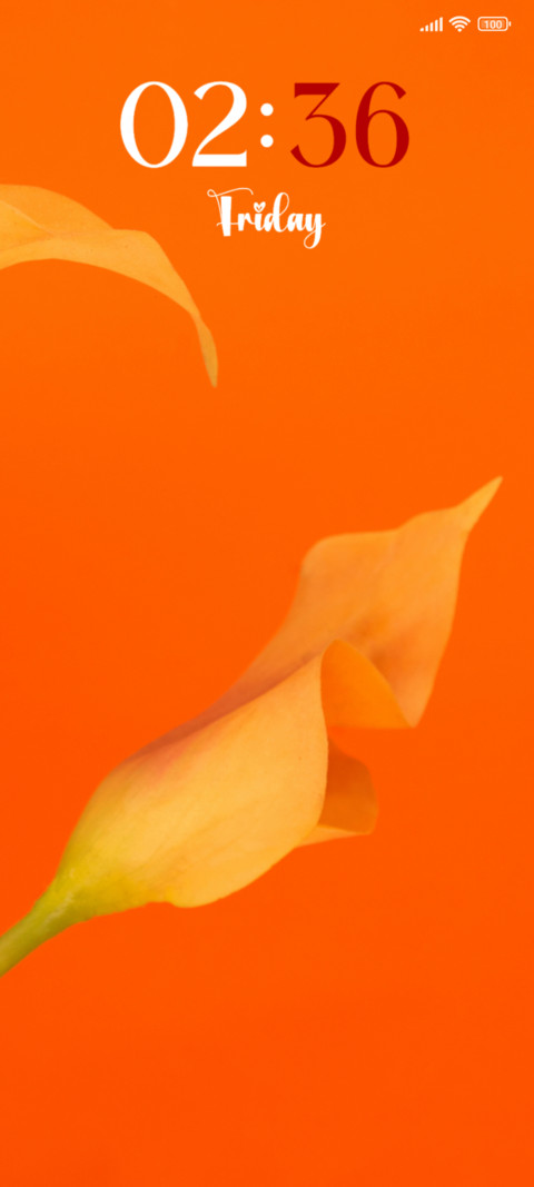 Bare Light preview