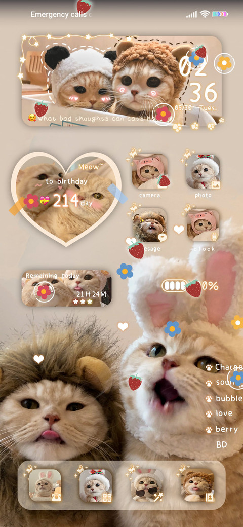 Baby dried fish preview
