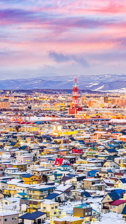 Cities with the largest snowfall 20 preview