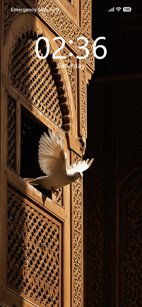 Flight Arches preview