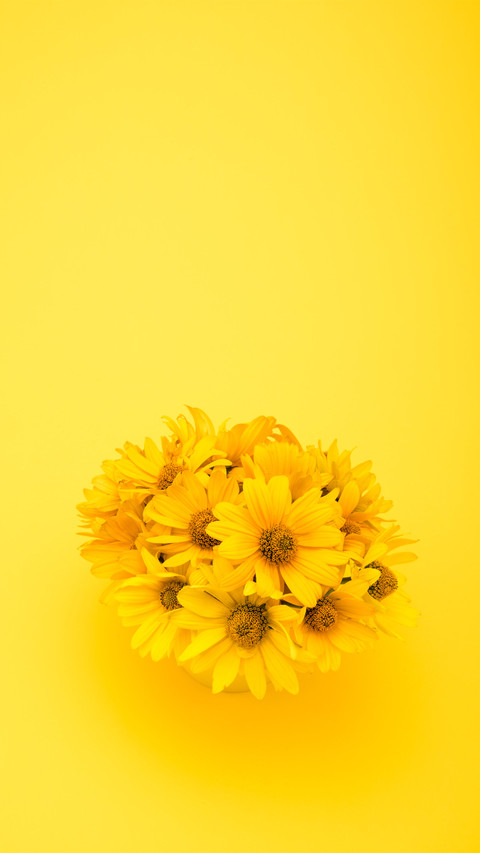 flowers-08 preview