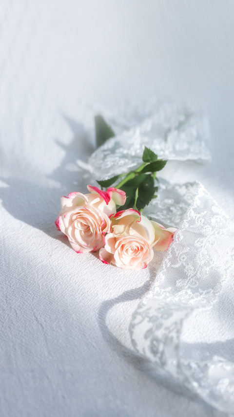 Refraction Bubble Rose preview