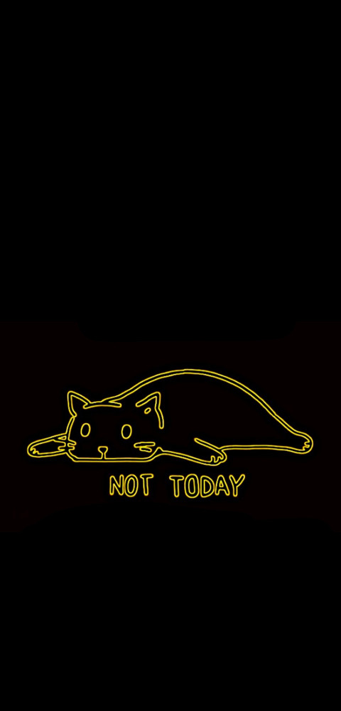 Lazy Cat preview