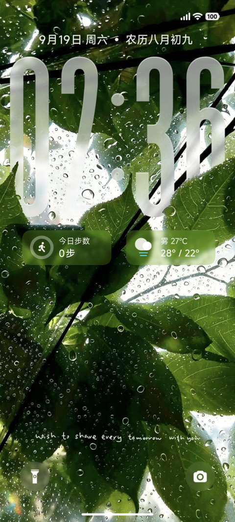 景深清新檐雨观叶 preview