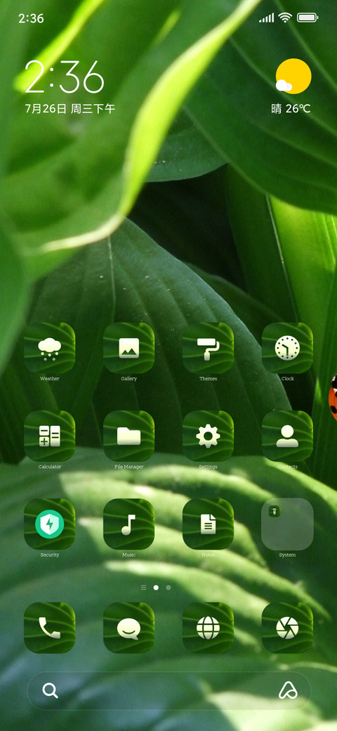 Beetle preview