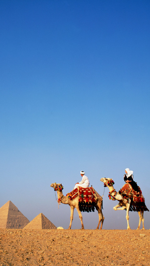india- camel preview